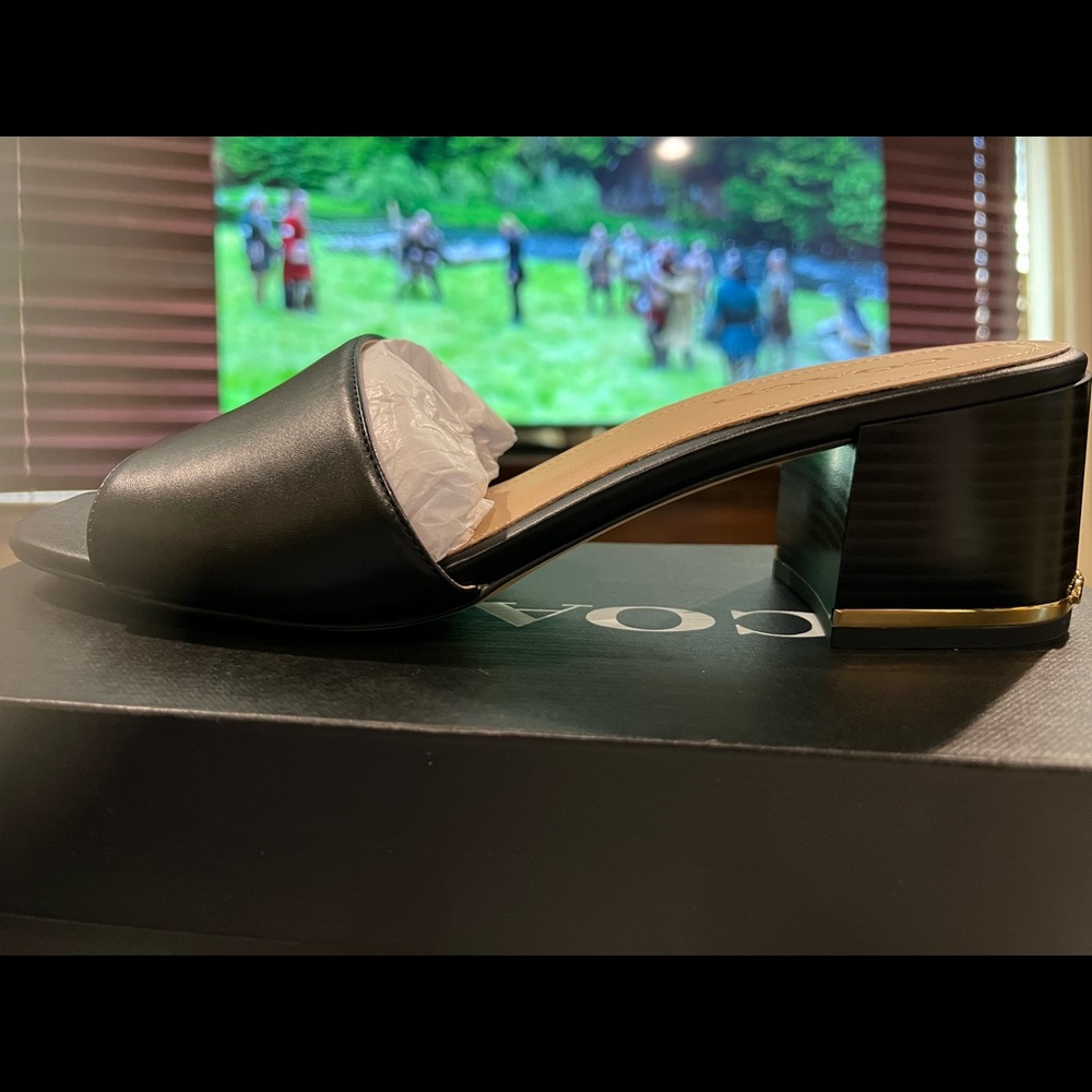 Summershoe